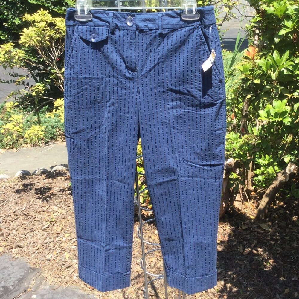 Talbots Vertical Black line on blue Capri Jean